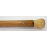 A REGENCY MALACCA CANE WITH BULBOUS IVORY POMMEL AND GOLD COLOURED METAL EYELETS, IRON TIP, 131CM,