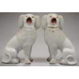 A PAIR OF STAFFORDSHIRE EARTHENWARE MODELS OF POODLES, 26CM H, C1860 Excellent examples in good