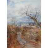 ALWYN BATES, DRIVING SHEEP ON A COUNTRY LANE, SIGNED AND DATED 82, WATERCOLOUR, 74 X 52.5CM Good