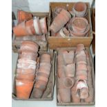 A COLLECTION OF VICTORIAN AND LATER TERRACOTTA FLOWER POTS, INCLUDING EARLIER BORDERLESS TYPE