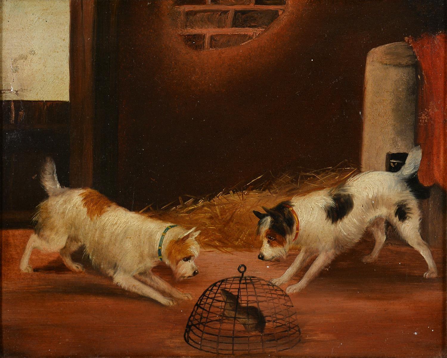 FOLLOWER OF GEORGE ARMFIELD, TERRIERS AND A CAGED RAT, OIL ON BOARD, 22.5 X 28.5CM Good condition,