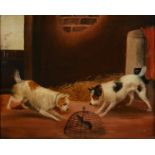 FOLLOWER OF GEORGE ARMFIELD, TERRIERS AND A CAGED RAT, OIL ON BOARD, 22.5 X 28.5CM Good condition,