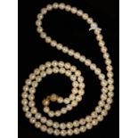 A CULTURED PEARL NECKLACE OF 5-6MM CULTURED PEARLS, THE GOLD CLASP EN CAGE, APPROXIMATELY 815MM
