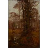 HENRY CHARLES FOX, WILDFOWL IN A WOOD, SIGNED, OIL ON CANVAS, 60 X 39.5CM Cleaned and re-
