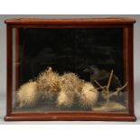 A VICTORIAN GLAZED MAHOGANY DISPLAY CASE WITH HINGED TOP, CONTAINING TAXIDERMY ? A TABLEAU OF PUFFER