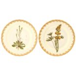 A PAIR OF DERBY BOTANICAL DESSERT PLATES, 1795  with gilt harebell border with scalloped rim, 23cm