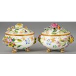 A PAIR OF MINTON FLORAL ENCRUSTED COALBROOKDALE FOOTED BOWLS AND COVERS, C1825-30  8.5cm diam,