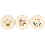 A SET OF THREE DERBY BOTANICAL DESSERT PLATES, C1795  25cm diam, painted mark, 197 and script titles