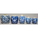 FIVE CHINESE BLUE AND WHITE PRUNUS ON CRACKED ICE GROUND GINGER JARS, 19TH C AND LATER, 14CM H AND