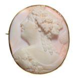A WHITE CORAL CAMEO, 19TH C, CARVED WITH THE HEAD OF A BACCHANTE WITH A THYRSUS, PLAIN GOLD MOUNT,