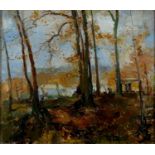 20TH C SCHOOL - WOODED LANDSCAPE, INDISTINCTLY SIGNED, OIL ON CANVAS, 34 X 40CM Condition report