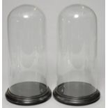 A PAIR OF GLASS DISPLAY DOMES, 19TH C OR LATER, TURNED EBONISED BASE, 41CM H Condition report