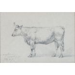 JAMES WARD, RA, (1769-1859) - STUDY OF A COW, SIGNED (JWRD RA) AND INSCRIBED ANGLESEY YEARLING