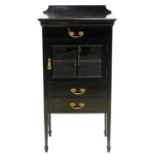 A VICTORIAN BLACK PAINTED MAHOGANY MUSIC CABINET ON SQUARE TAPERING LEGS, 102CM H; 56 X 38CM Paint