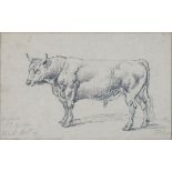 JAMES WARD, RA (1769-1859), STUDY OF A BULL, SIGNED (JWRD RA) AND INSCRIBED ANGLESEY Y. OLD NEXT