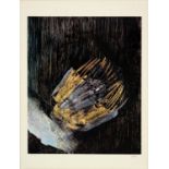 SIR SIDNEY NOLAN (1919-1992), FLORAL IMAGE V, SCREENPRINT, FULL SHEET, SIGNED BY THE ARTIST IN