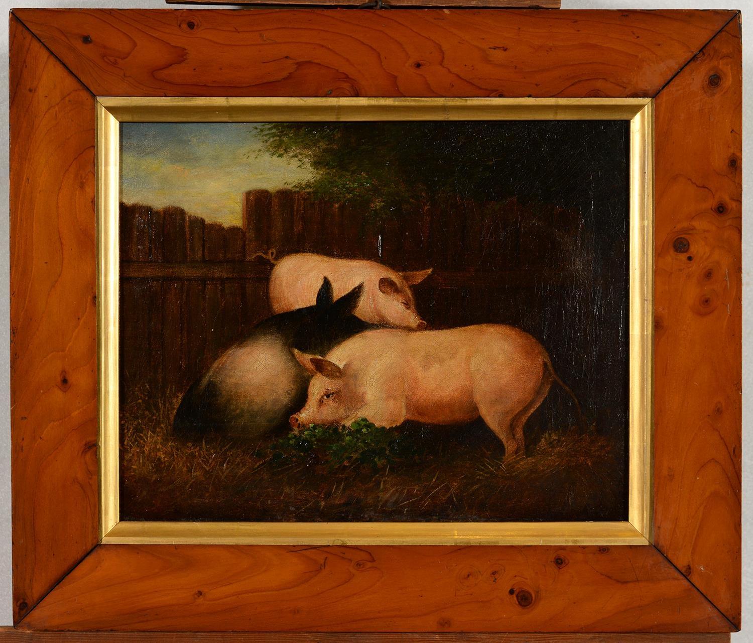 BRITISH NAÏVE ARTIST, 19TH C - THREE PIGS, OIL ON CANVAS, 28.5 X 36.5CM, MAPLE FRAME Some - Image 2 of 3
