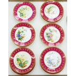A SET OF TEN W A ADDERLEY DESSERT PLATES, 1876-85, PAINTED IN BRIGHT ENAMELS WITH WILD FLOWERS AND