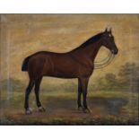 T WAINWRIGHT (FL LATE 19TH - EARLY 20TH CENTURY) - PORTRAIT OF A HORSE, SIGNED AND DATED 1903, OIL