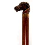 A HARDWOOD WALKING CANE WITH A BRONZED METAL HORSE'S HEAD POMMEL, 19TH C, 81.5CM Pommel