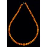 A  NECKLACE OF SEVENTY ONE AMBER BEADS, EARLY 20TH C, CIRCA 7-13MM, 20.5G Good condition