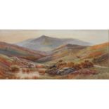 C GREEN, FL EARLY 20TH CENTURY - DUNKERY BEACON EXMOOR; DARTMOOR, A PAIR, BOTH SIGNED,