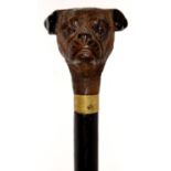 AN EBONISED WALKING CANE, C1900 WITH A CARVED LIMEWOOD DOG'S HEAD POMMEL, BRASS COLLAR AND TIP, 87CM