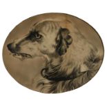 J WHEELER, 19TH CENTURY - HEAD OF A DEERHOUND, SIGNED, CHARCOAL ON LIGHT GREY PAPER, OVAL, 39 X 49CM