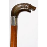 A VICTORIAN MALACCA WALKING CANE WITH A CARVED HORN HOUND'S HEAD HANDLE, 19TH C, SILVER COLLAR