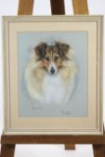 Marjorie Cox, pastel dog portrait 'Funzie', signed lower right and dated 1984,