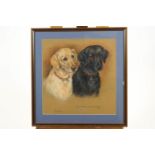 Marjorie Cox, pastel dog portrait ' Lottie and Crumble', signed lower left and dated 1991,