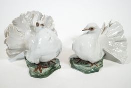 A pair of Rosenthal porcelain figures of fan tail doves,