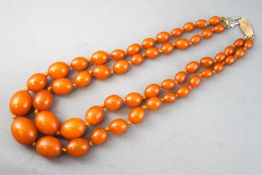 A double strand of graduated amber beads, stung knotted with a silver gilt clasp.