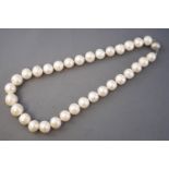 A single strand of cultured freshwater pearls.