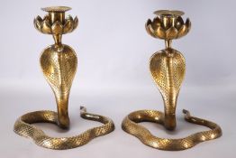 A pair of brass candlesticks the sconce supported by a writhing cobra,