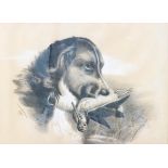 Chrissie M Williams, Spaniel with Snape, charcoal highlighted with white,