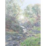 D. Carmichael, waterfall in a landscape, oil on board