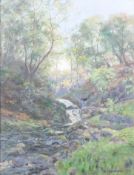 D. Carmichael, waterfall in a landscape, oil on board