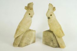 A pair of alabaster cockatoo book ends, each modelled in opposing directions, with glass eyes,