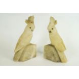 A pair of alabaster cockatoo book ends, each modelled in opposing directions, with glass eyes,