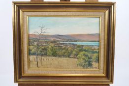 Dyson, Extensive landscape, possibly New Zealand, oil on panel, signed lower right,