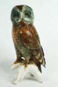 A Karl Ens porcelain model of a Tawny owl, 20th century, printed blue ENS marks and pattern No 7375,