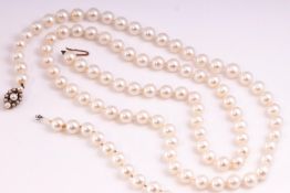 A single strand of cultured pearls. 85 pearls measuring from 7.50mm to 8.