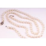 A single strand of cultured pearls. 85 pearls measuring from 7.50mm to 8.