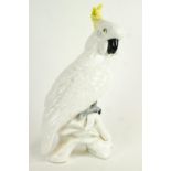 A Crown Staffordshire bone china model of a Cockatoo, designed and modelled by G T Jones,
