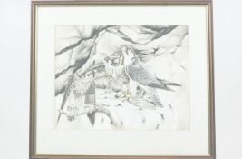 Andrew Ellis, born 1971, 'Lanner Falcons', gouache, signed and dated 87 lower right, 36.