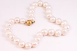 A single strand of cultured freshwater pearls measuring from 12.0mm to 15.0mm approximately.