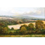 Richard Blowey, Extensive landscape, oil on canvas, signed lower left, framed, 75cm x 49cm,