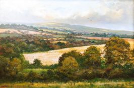 Richard Blowey, Extensive landscape, oil on canvas, signed lower left, framed, 75cm x 49cm,