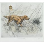 George Vernon Stokes, Pointers, etching, signed in pencil and numbered 11/75 plate 28.5cm x 23.5cm